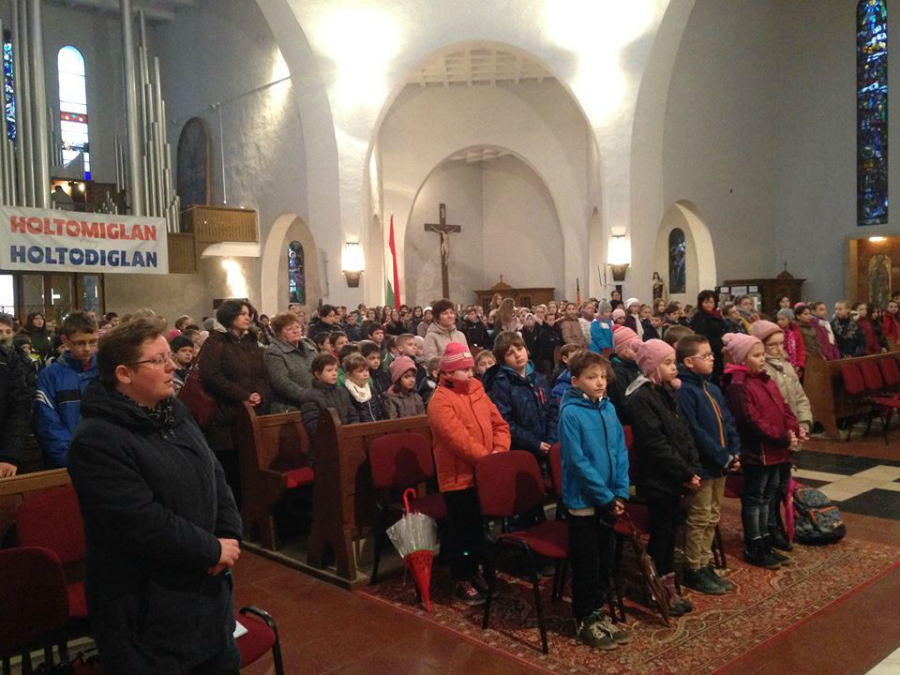 hamvazoszerda mohacson 01