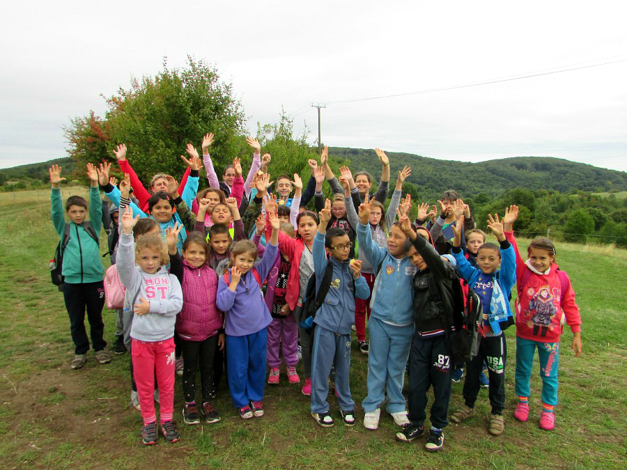 erdei iskola tolna 03 900