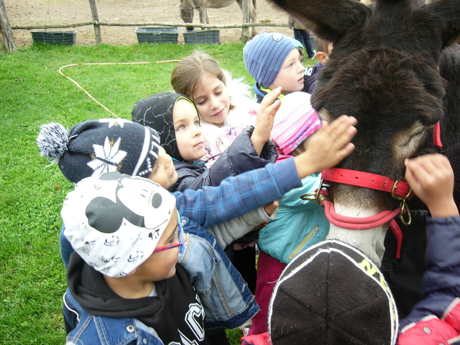 teremtesvedelem csacsifarm 02