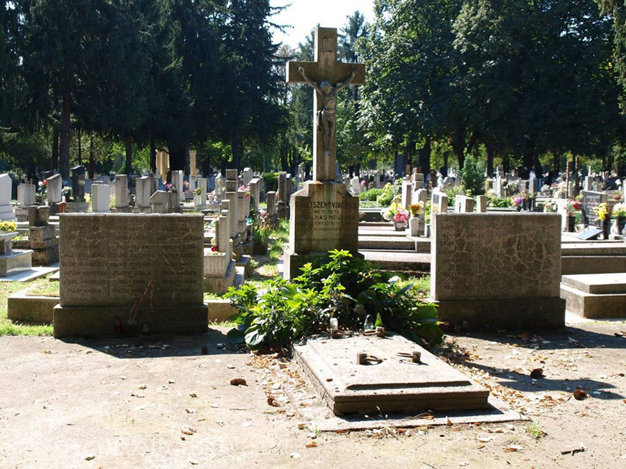 pali szent vince cikkhez 03