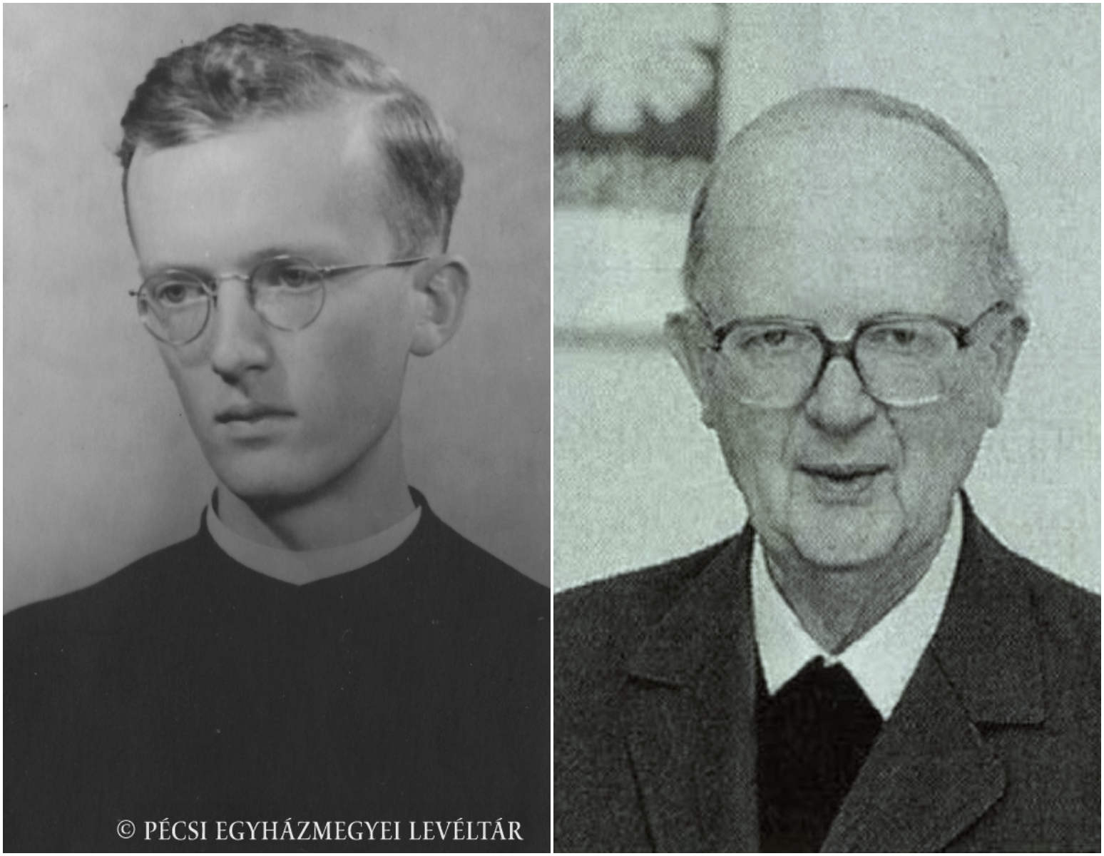 Szalai Janos collage