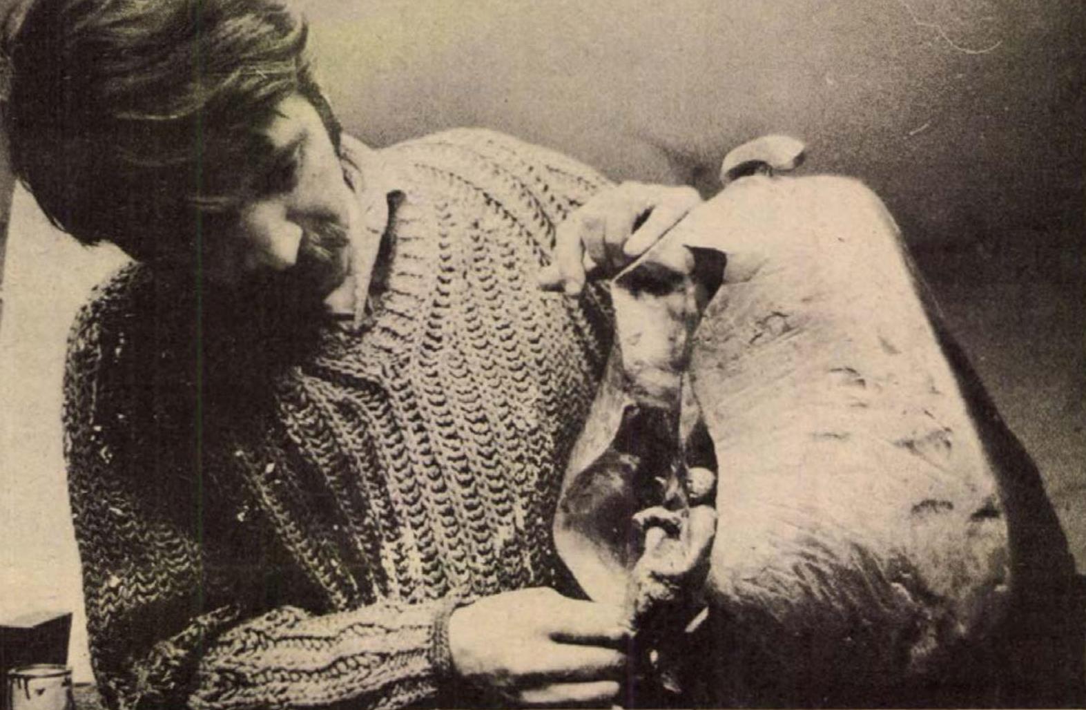 retfalvi sandor DN 1978