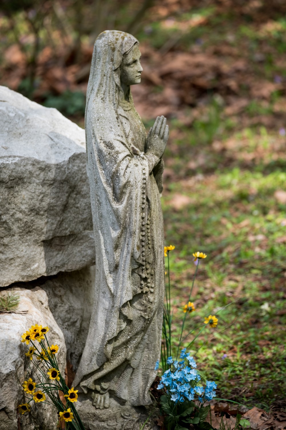 pszentlaszlo arboretum 20180412 119 Egyedi