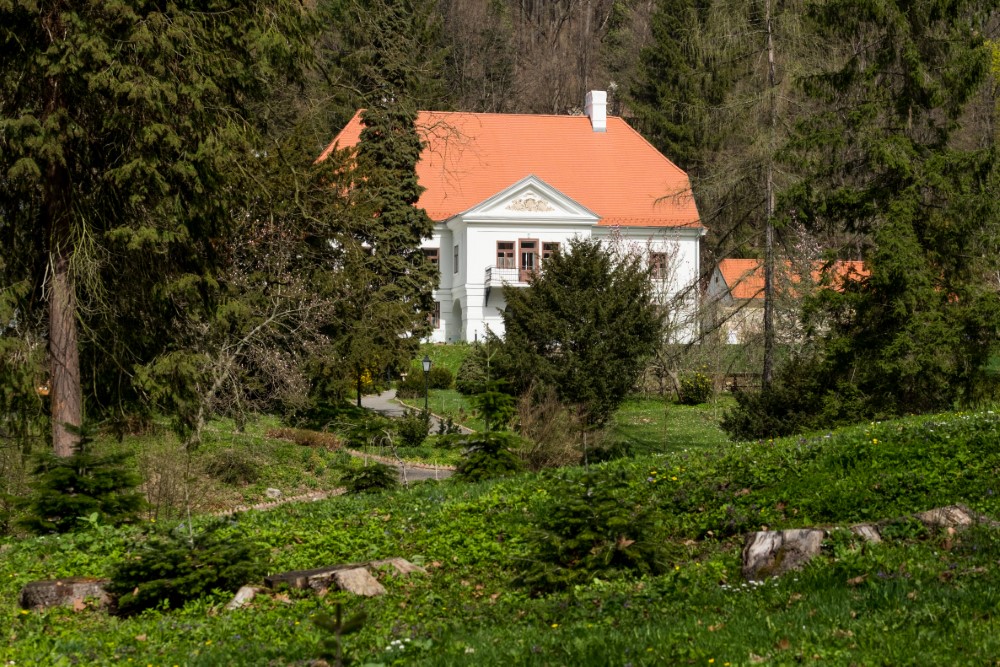 pszentlaszlo arboretum 20180412 86 Egyedi