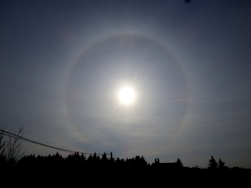 Gyenizse naphalo 2016