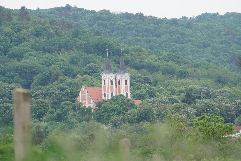 mgyz 2022 csoban 002