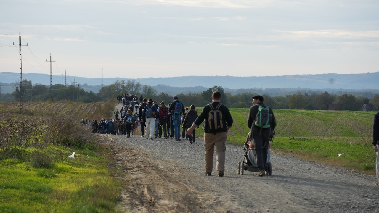 Apa fia zarandoklat 2022 116