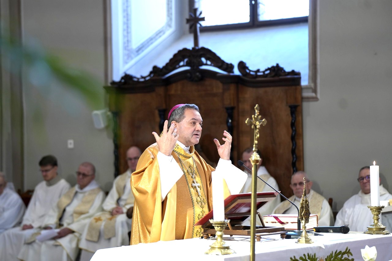 Palosok fogadalomujitasa 22