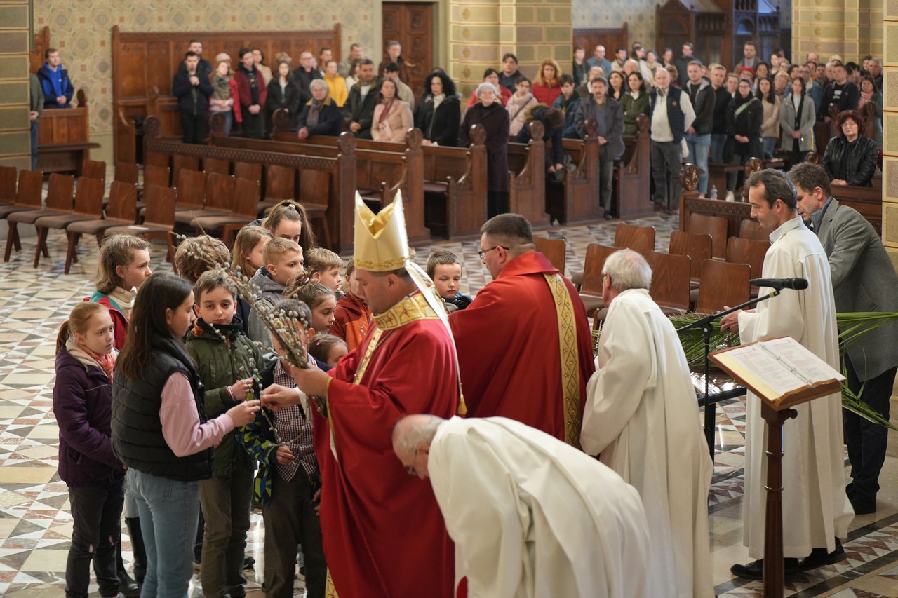 Viragvasarnap 2023 12