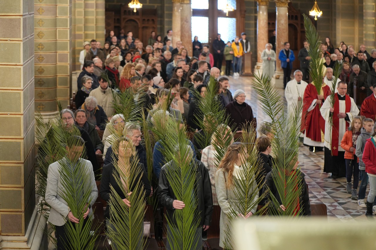 Viragvasarnap 2023 18