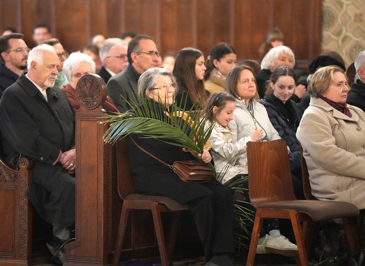 Viragvasarnap 2023 22