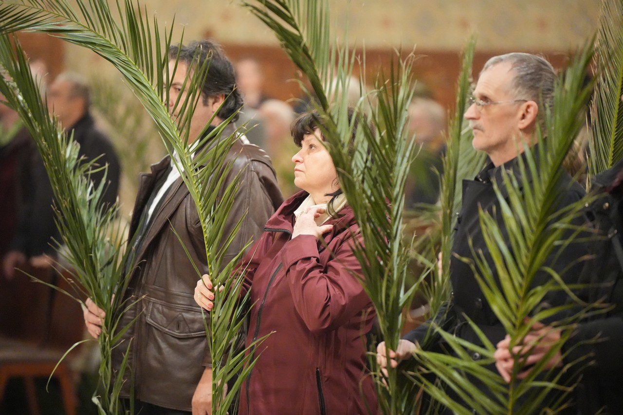 Viragvasarnap 2023 46