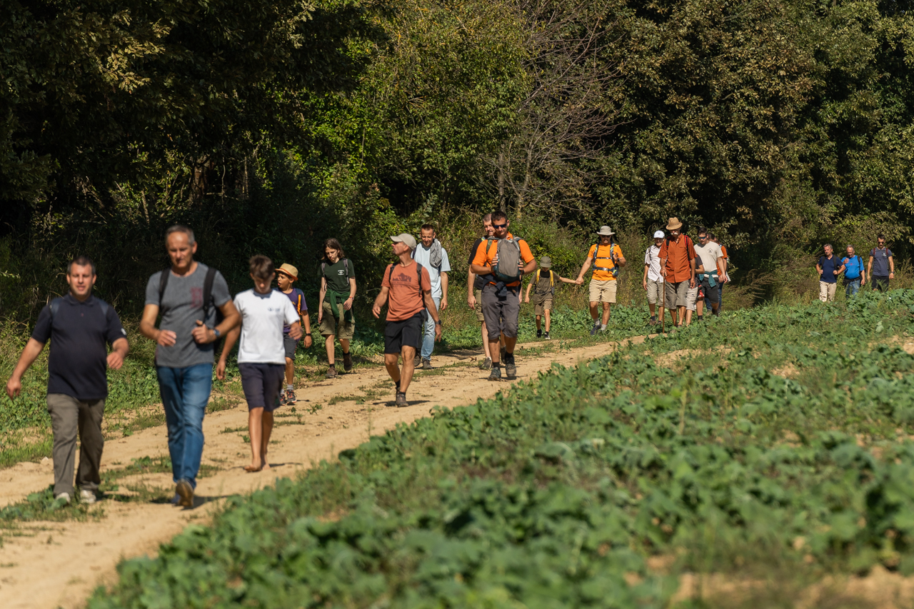 2023 apa fia zarandoklat 29