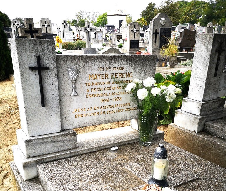 mayer ferenc03