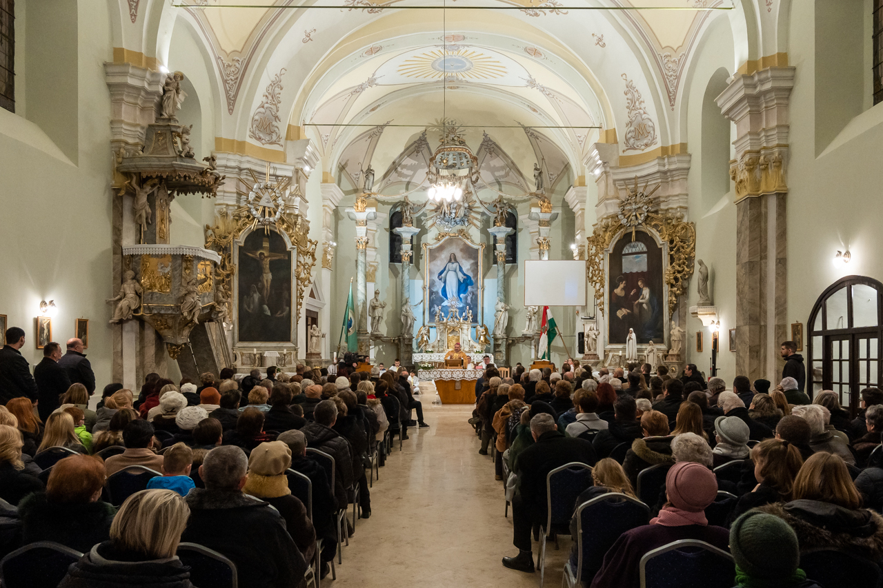 2024 01 31 tamasi 41