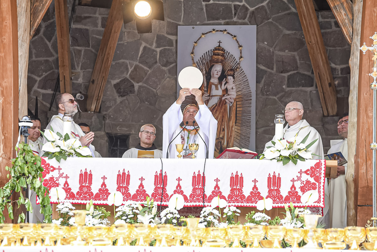 1716031178 bucsus mise lfcs 002 web