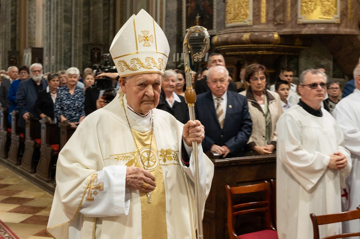 2024 05 12 szekszard mayer biro 06