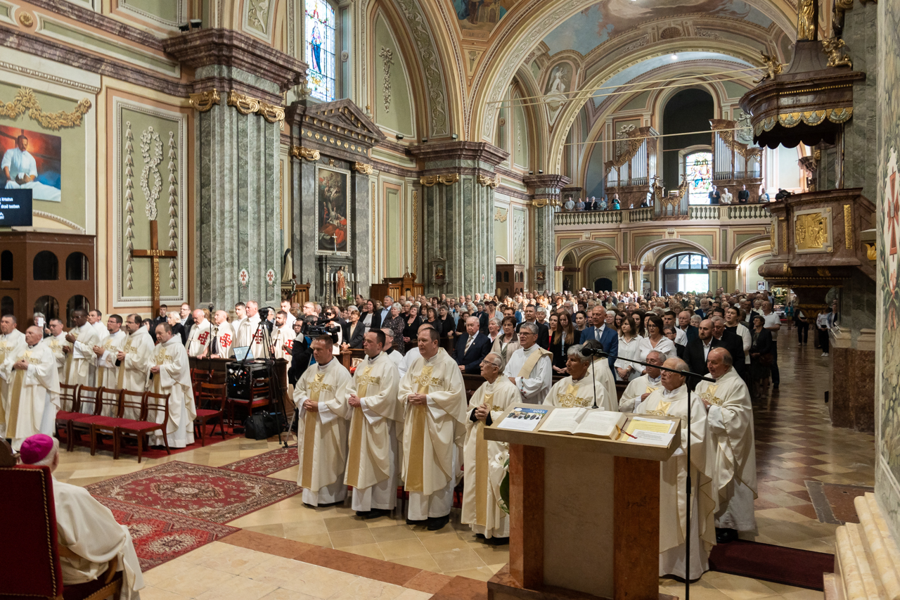 2024 05 12 szekszard mayer biro 19