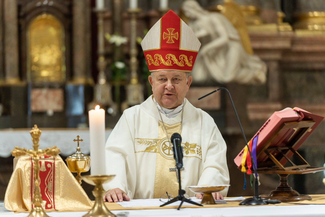 2024 05 12 szekszard mayer biro 37