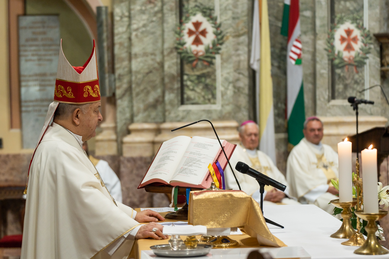 2024 05 12 szekszard mayer biro 48