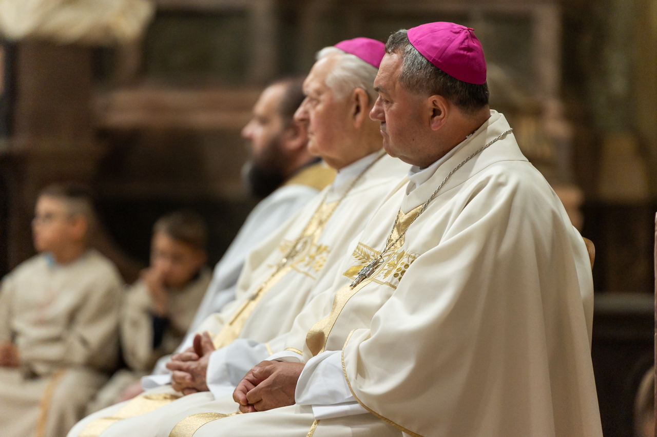 2024 05 12 szekszard mayer biro 53