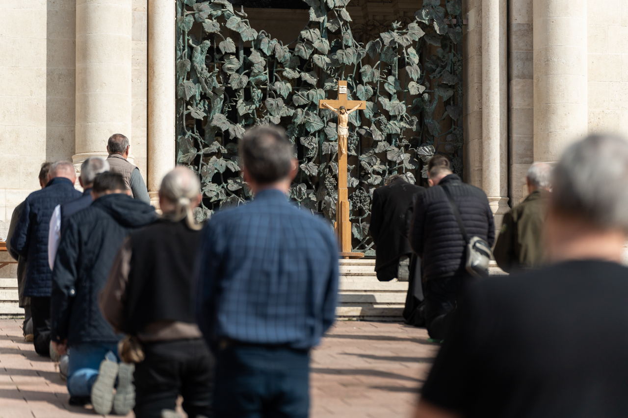 2025 04 05 terden allo rozsafuzer 40