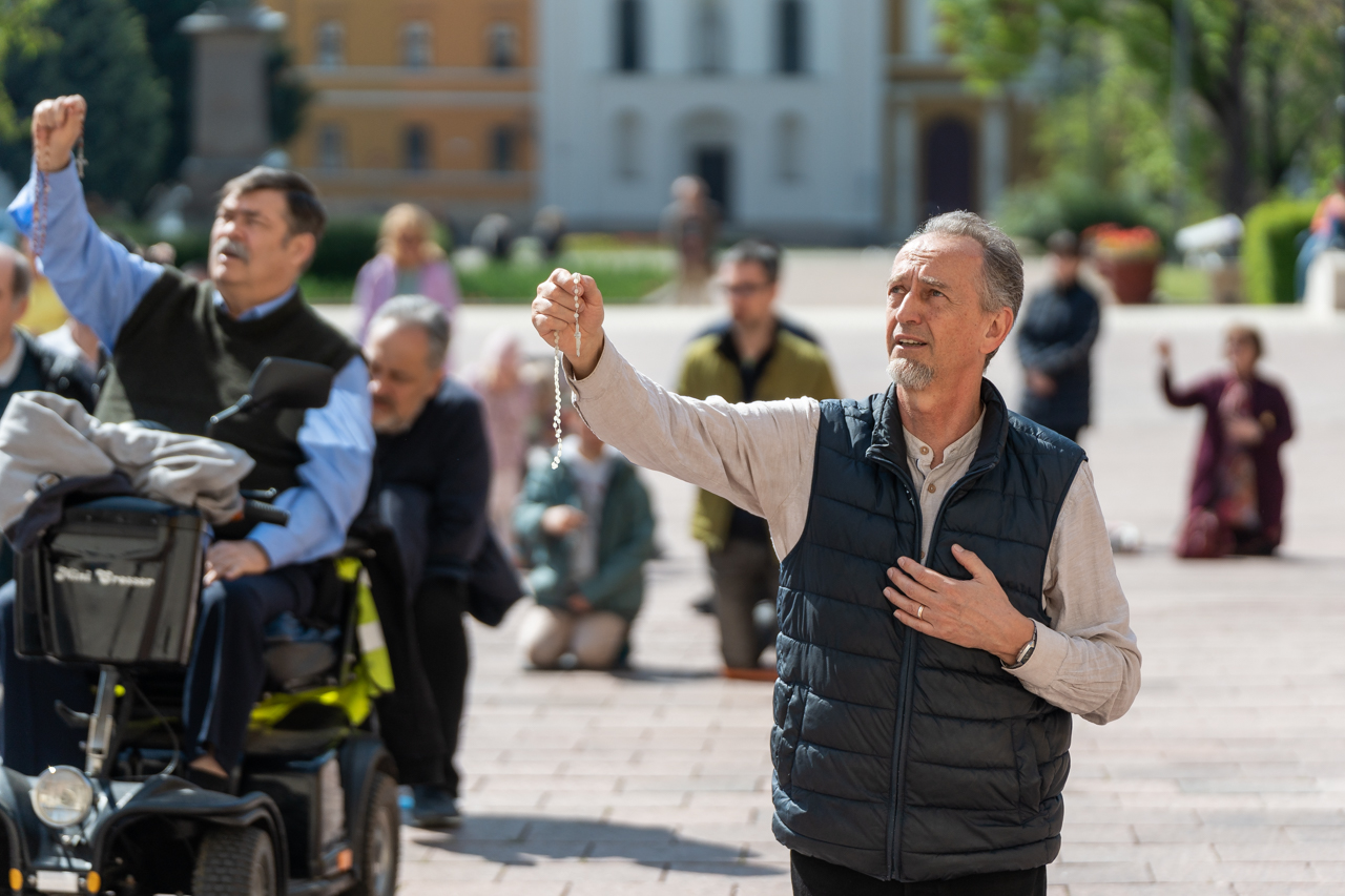 2025 04 05 terden allo rozsafuzer 62