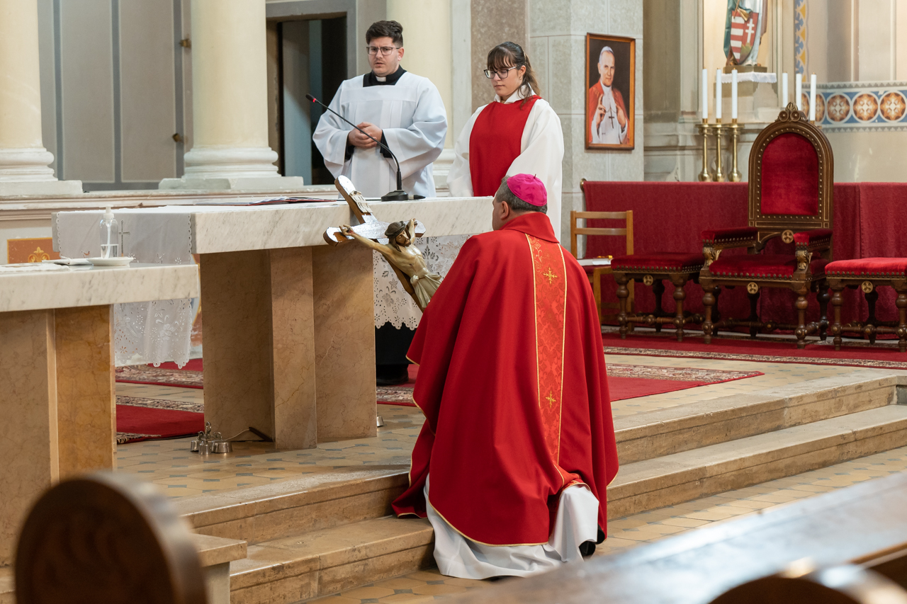 2025 04 18 dobrokoz 31