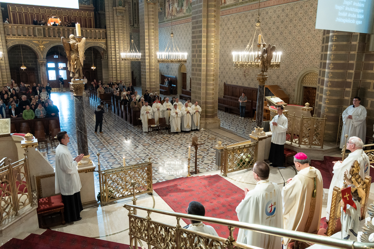 2025 04 24 ferenc papaert 16