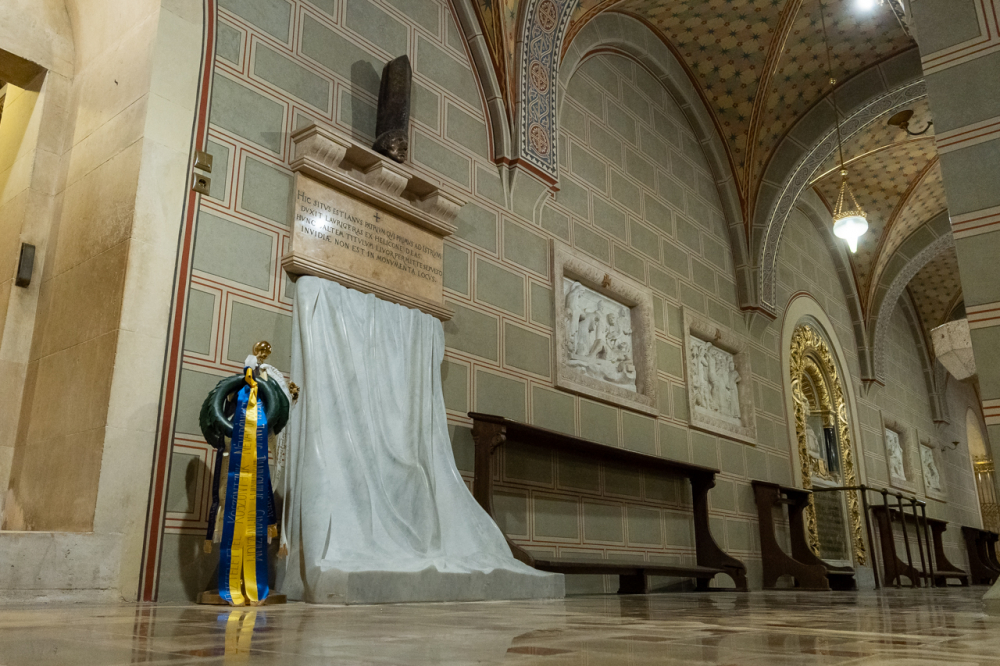 850 2024 11 06 jannus 03