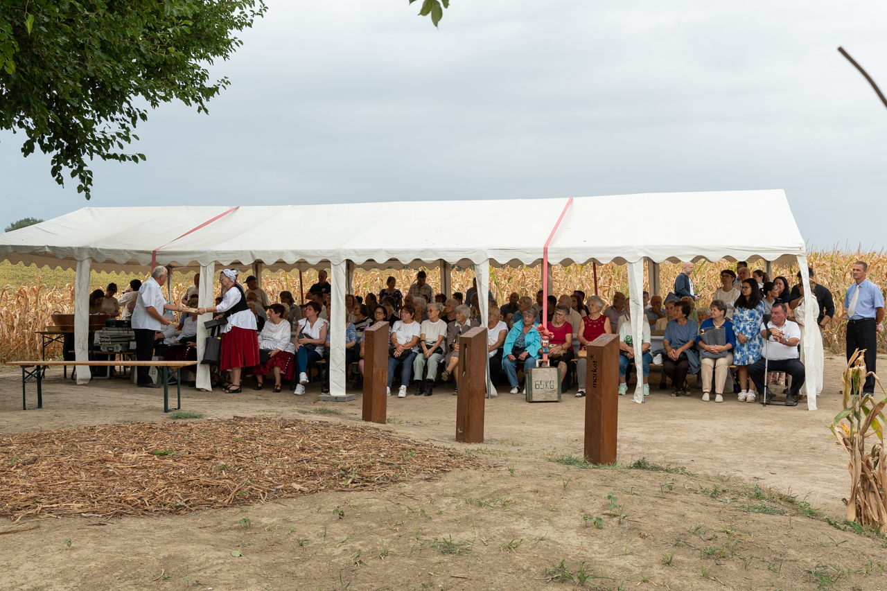 2025 08 30 regoly 11