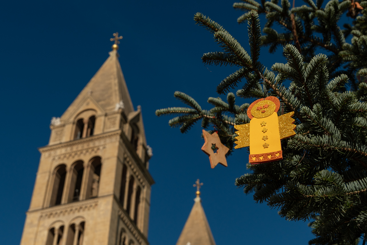 2024 12 19 karacsonyfa 04