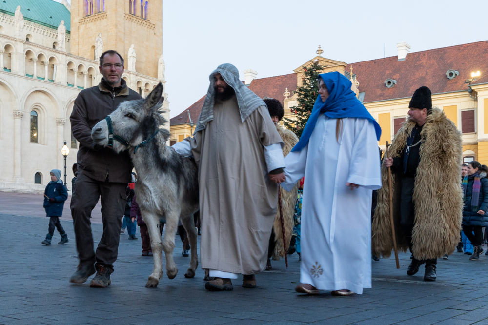 868 2024 12 21 szallast keres 26