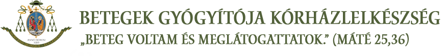 korhazlelkeszseg logo