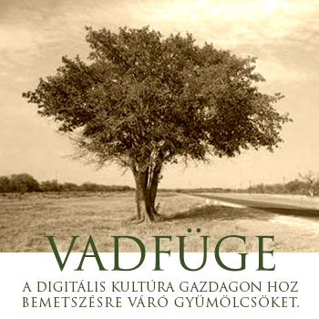 A Pécsi Egyházmegye honlap Vadfüge rovatának bannere