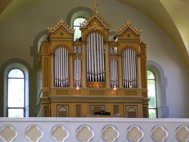 Pecs_szabolcs_orgona.jpg