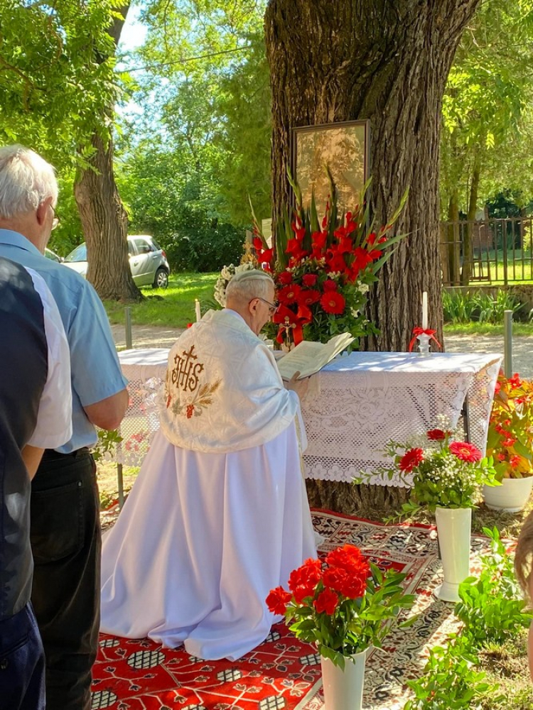 366 simon ferenc janos urnapja