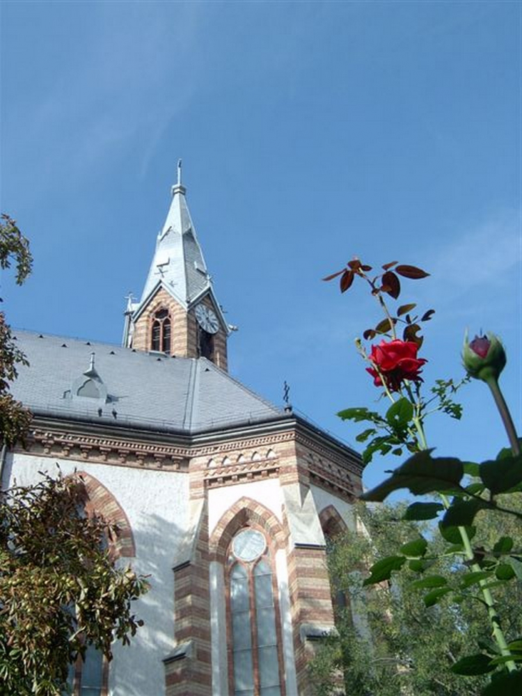 376 szekszard ujvarosi templom