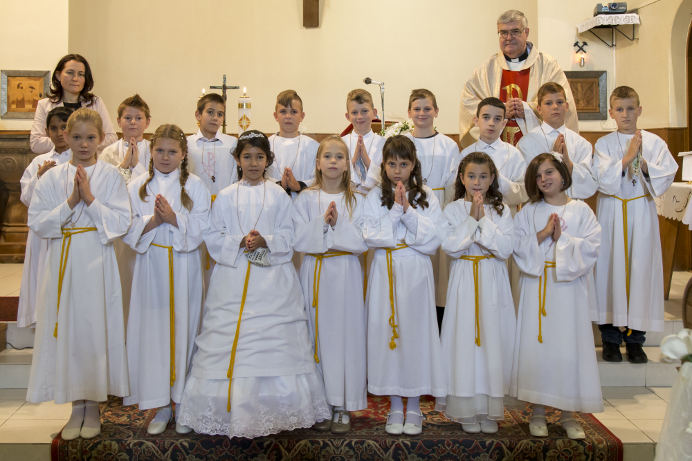 390 Bartfa elsoladozas 1