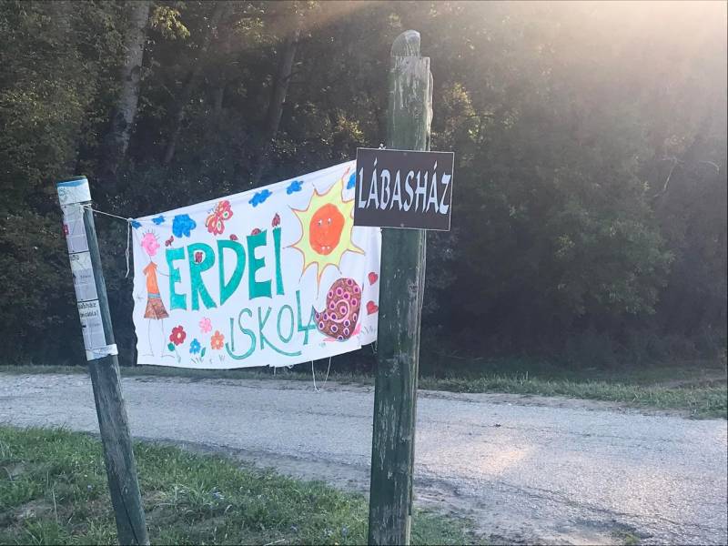 Erdei-iskola-MPKAI-11.jpg